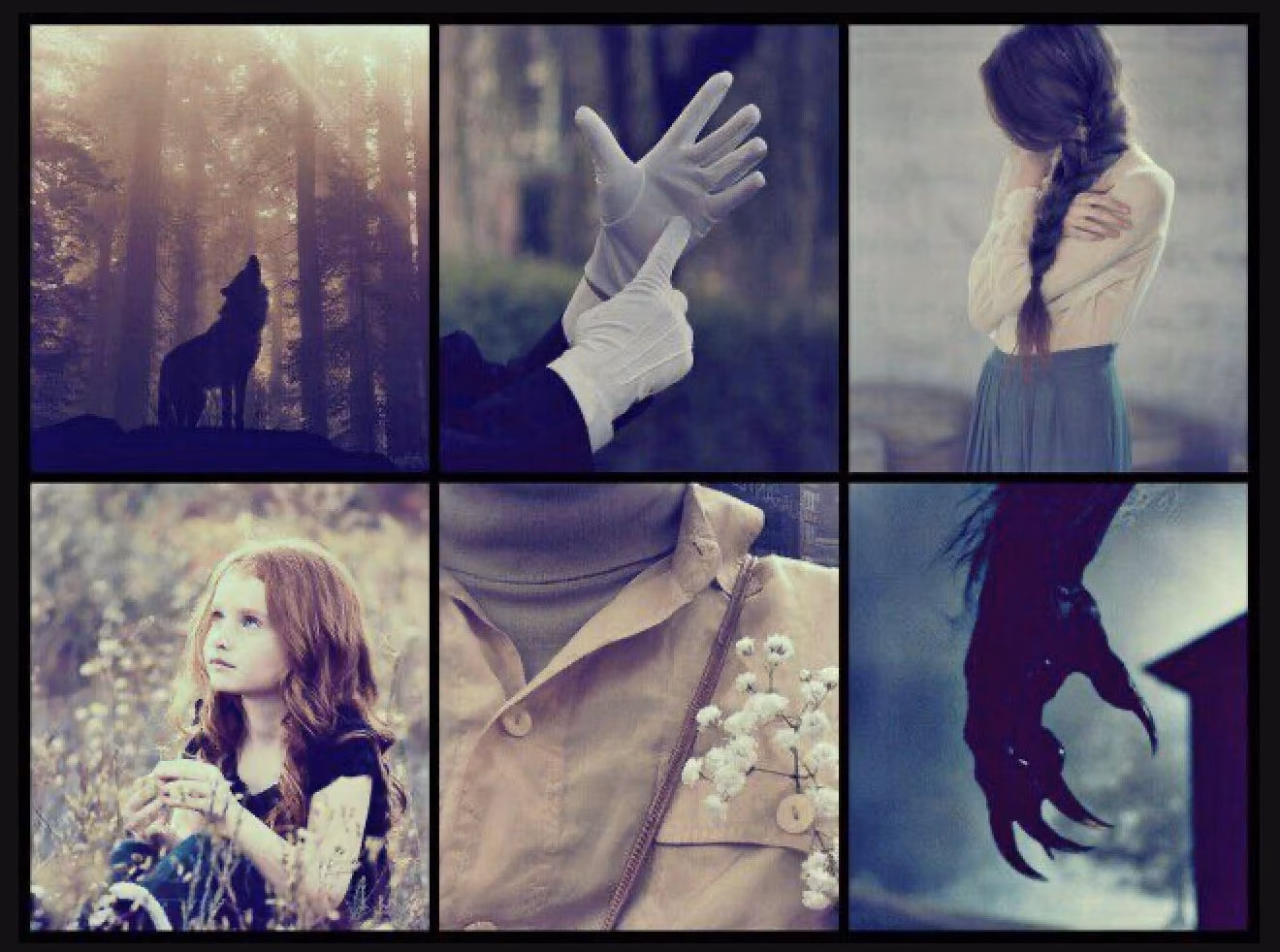 2b1067af26f9a9043fba6c90b4d1e974.avif