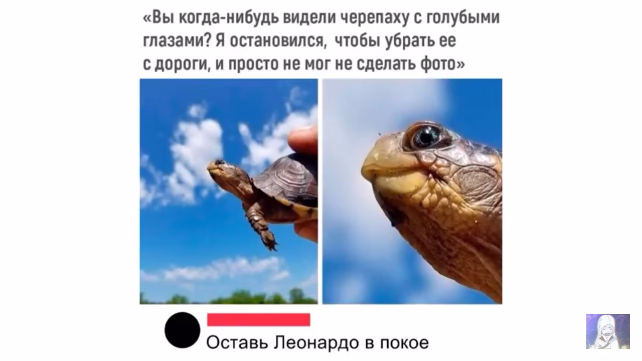2b10fa2b0bd6cf8ae02f09b92211d7cc.jpg