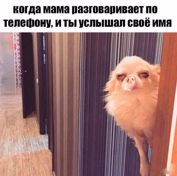 2b1f8c7d786d0e44cacf3b2ce52e1ecc.avif