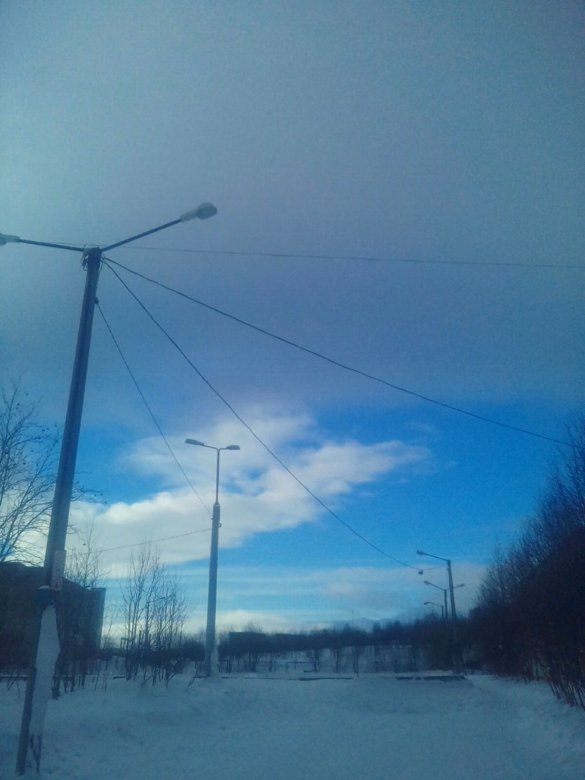 2b2782de0d41efee21a237a17d1d66e7.jpg