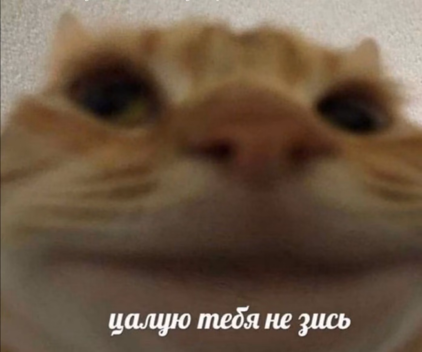 2b2aaf3b35e37285c448206b4b7ef214.jpg