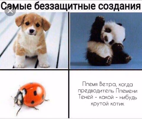 2b30c2cf6fcc6017a935a002e1aefb3c.avif