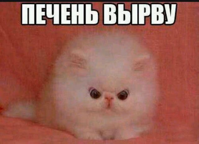 2b3589651fffc1161d76686a39fadb06.jpg