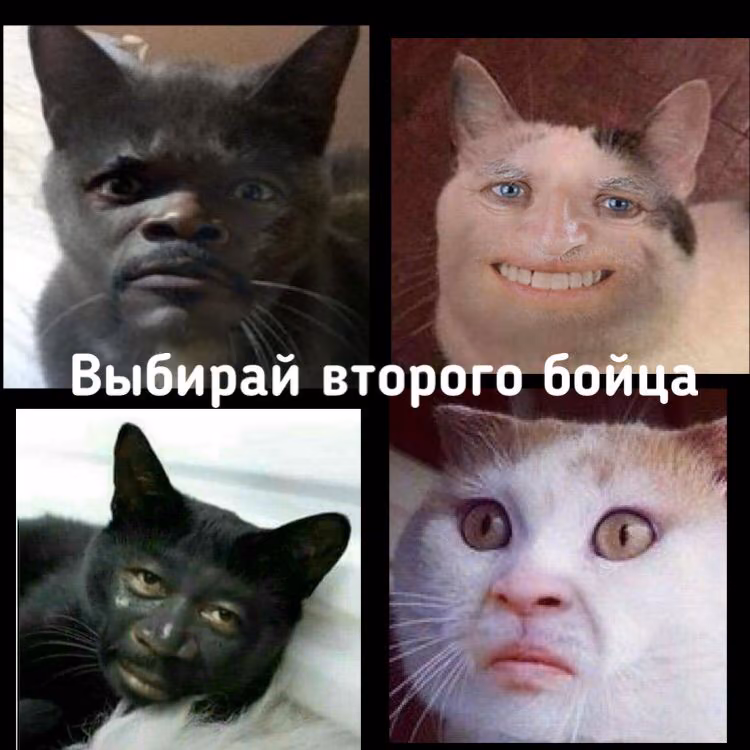 2b3e166e4a2ffcaafdf87c73a2ae989c.avif
