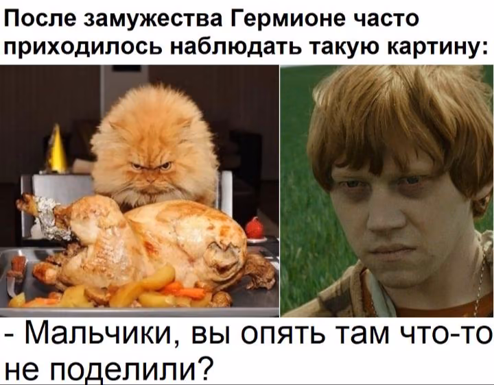 2b478230f351bb83180f8f2eadef7207.avif