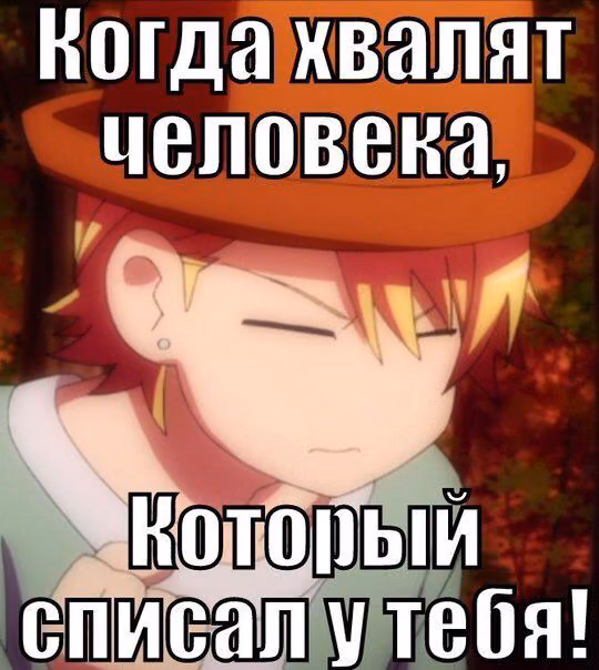 2b5454f3298943be3fe2ab4cb9b66a49.jpg