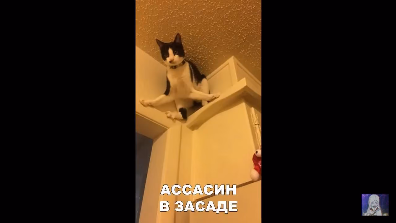 2b702665b5d3c34aa863a5cd79bd3cc0.jpg