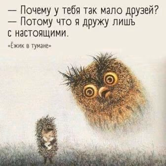 2b72c5090a0c6c91806ec06105da2bbf.jpg