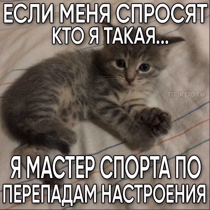 2b7b47d78c0728f2db260e0ef56ad648.avif