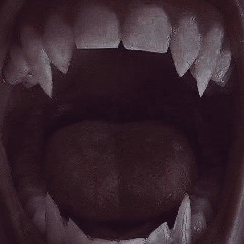 2b87d1df031f37b33ce2729b5fc579b2.avif