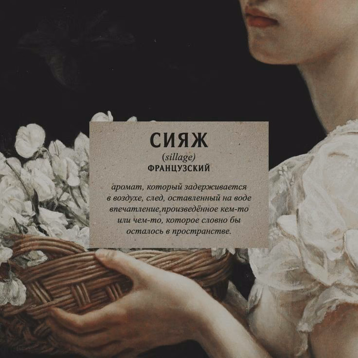 2b935efd0b59e6d12296b4ec6d3e26d1.jpg