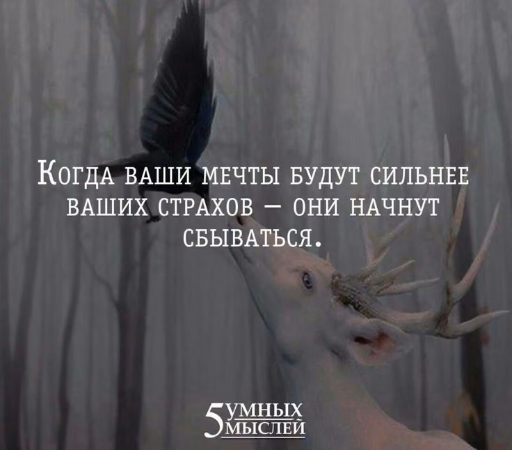2b97b1488ad9e02f204e3f521d0499e9.jpg