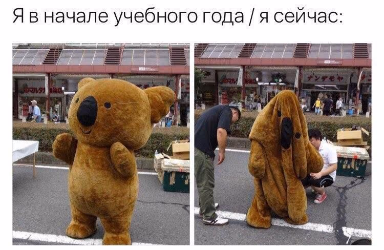2bade9f120326c8d50d4025328ed21fa.avif