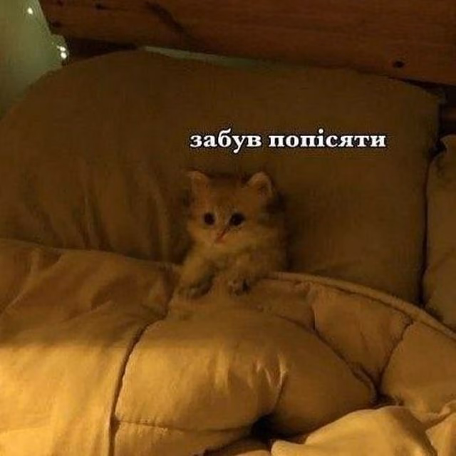 2bae0aedb7a2730a73c7fc3322573b8e.avif