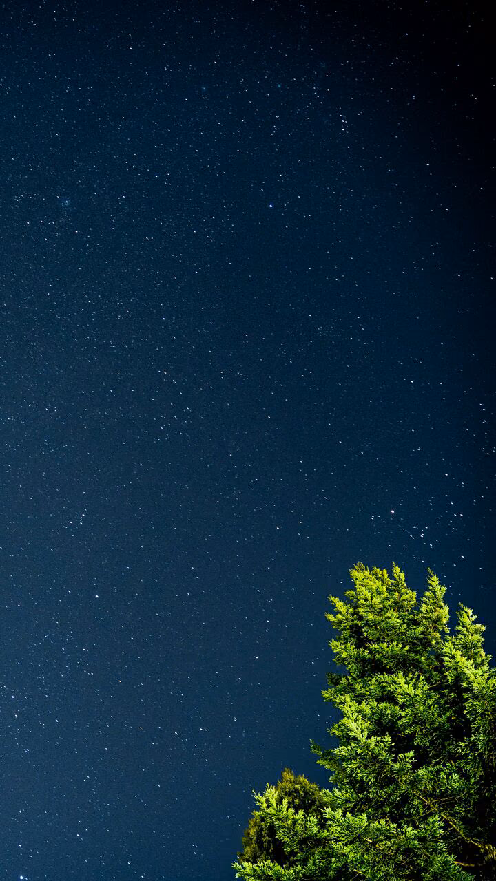 2bb24021bfad9a90be6b3bfebf1c2e82.avif