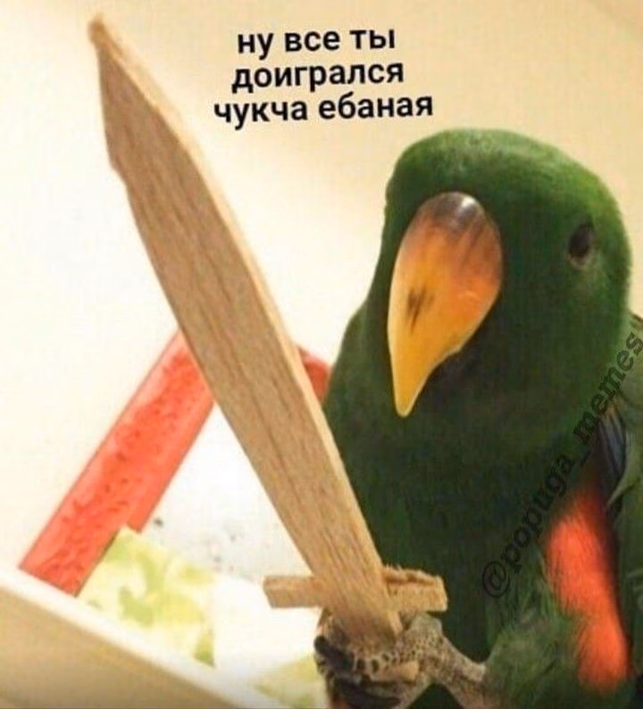 2bb5b3b9670c36bcc18cf522375fdb0a.jpg