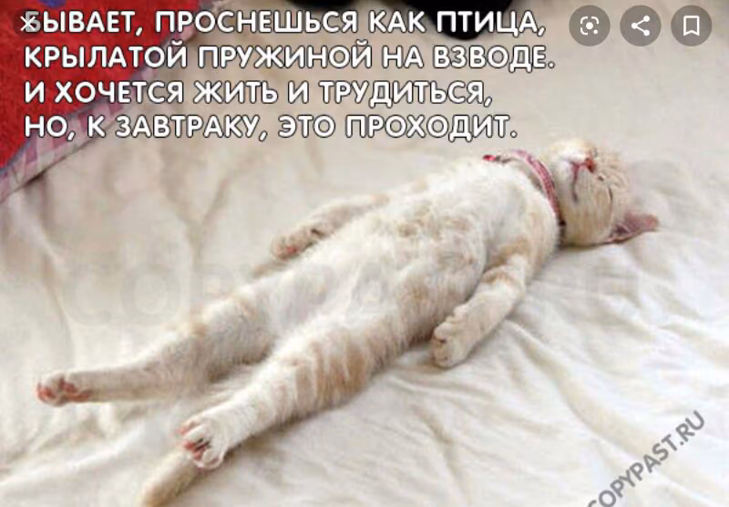 2bb8a0ec4c878ff2f518d468e93ba0f1.jpg