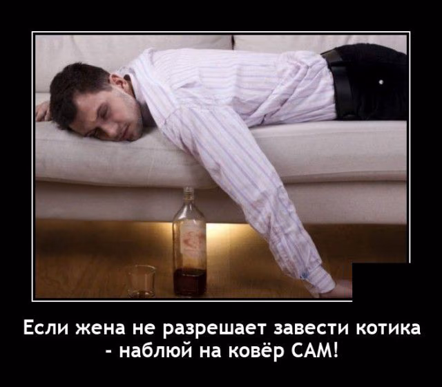2bb8ef3f0bf8c4c5b059da9f43a456f5.jpg