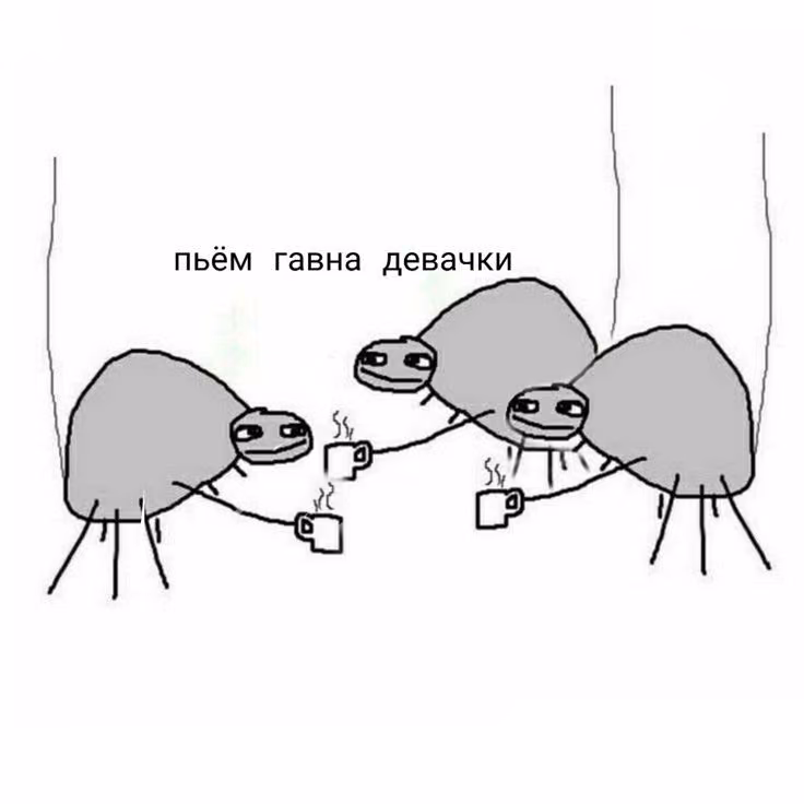2bc209519eac19c2399a6dbf7bc7da9a.avif