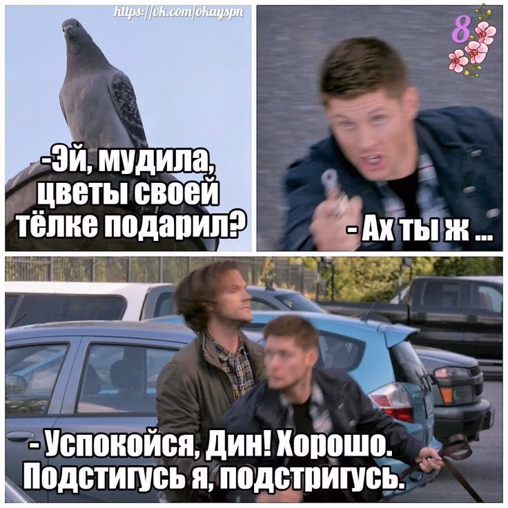 2bc43e0af37dcdb10efc3afc6e4da65d.avif