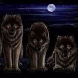 2bc9dd84d48ac1ed57a1061d9dd7dd71.avif