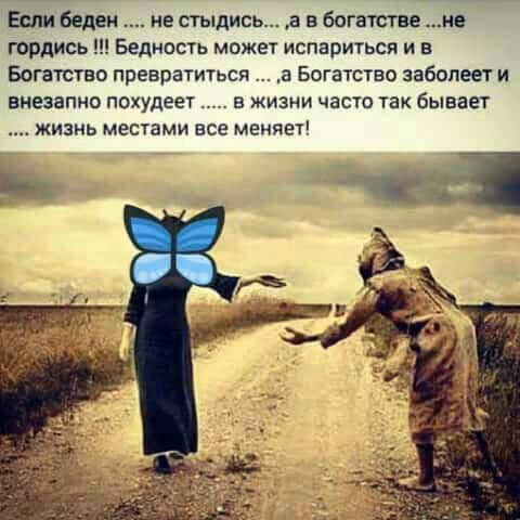 2bcd095dc8953bb93d685fb3acd03daf.jpg
