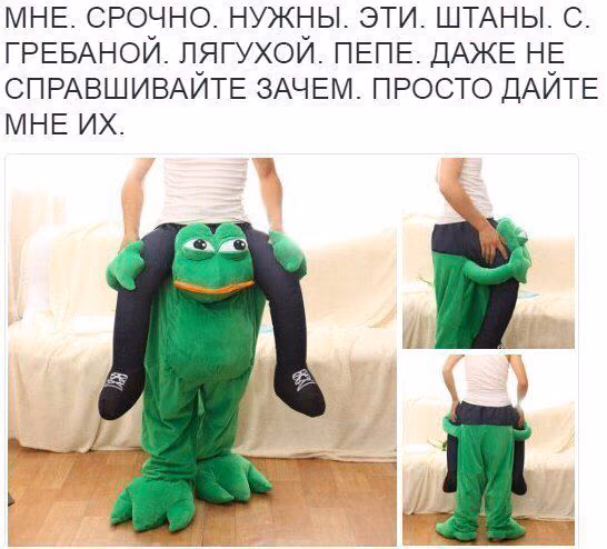 2bd6e24f4a8d0ea10a45536017bc44d4.avif