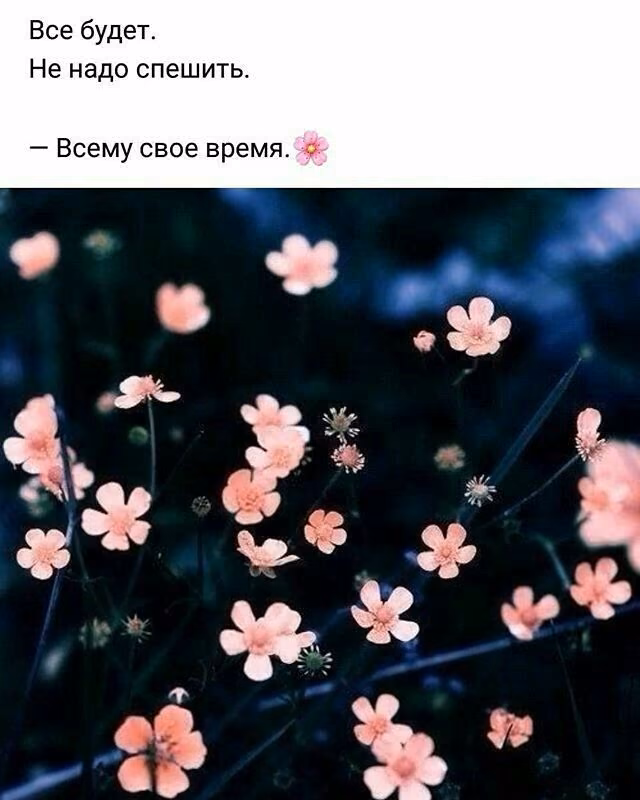 2bdef88e5eaf484806de8193d03d1df0.jpg