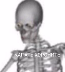 2bed5103524498a94d5fc6ffc5eb97a8.avif