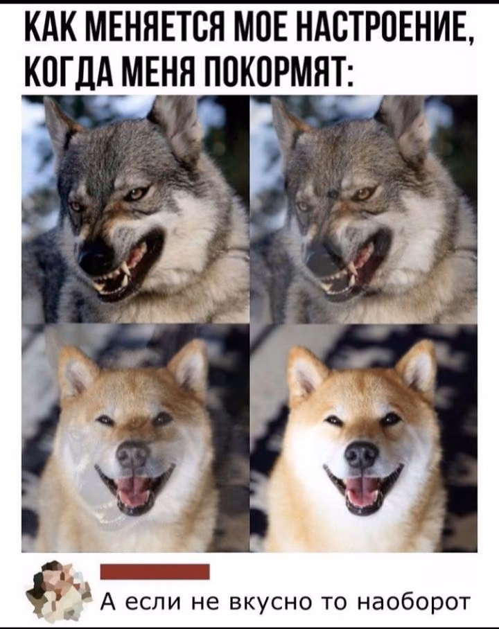 2bffb00f8b22d84c7f6d4234301d7956.avif