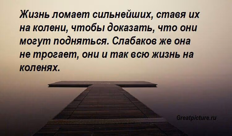 2c0563bbba5915c1f68794439cc84f1a.avif