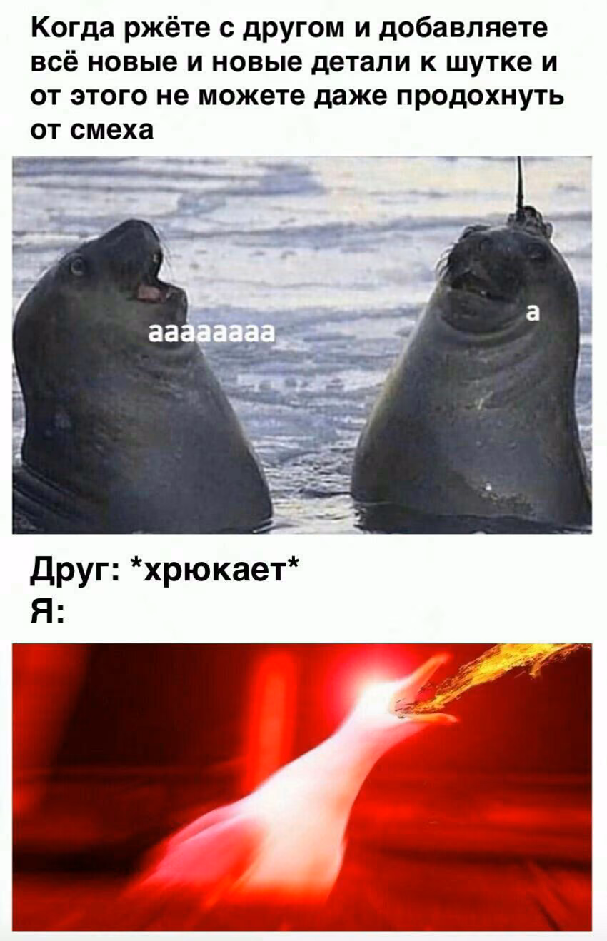 2c08f7676e13528042bdf80f7f89d0e7.jpg