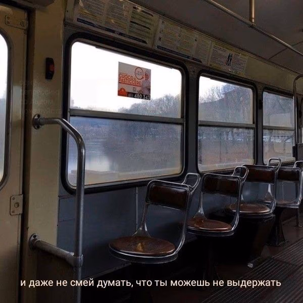2c1eb8b859070ff313277d866d3257ec.jpg