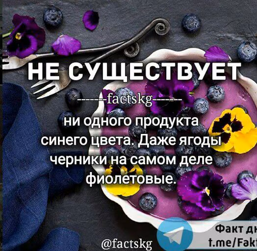 2c2fccf4eb561fec5c94704ffaf58e61.jpg