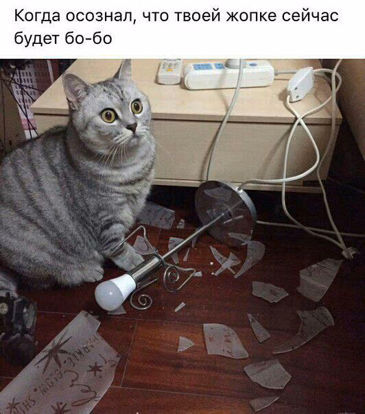 2c2fe36ca67fc1b04794e7c8dede48b0.jpg