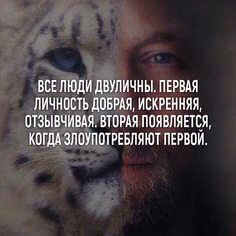 2c50b3f02c47403afbfa6fc4a3640a19.jpg