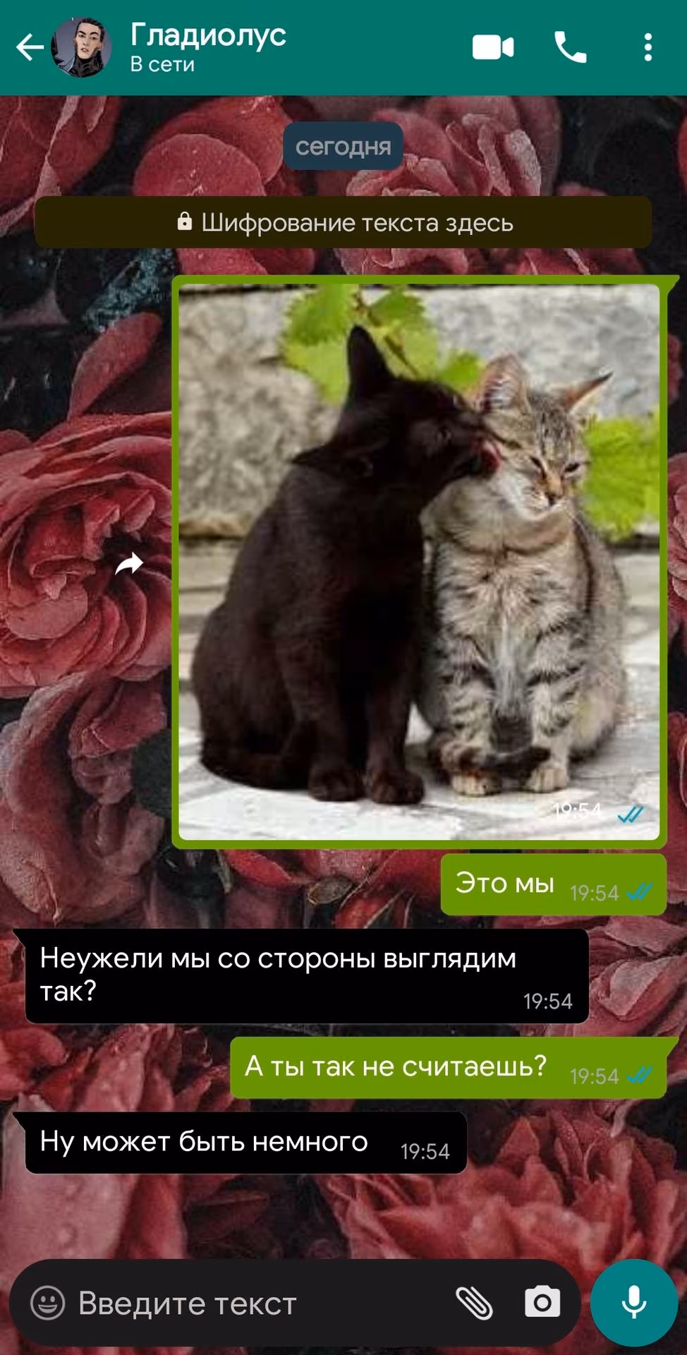 2c541ae5ccf99a430a3d37724732add7.avif
