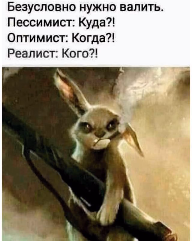 2c547a972b1dff74d5341e184f2d7acf.avif