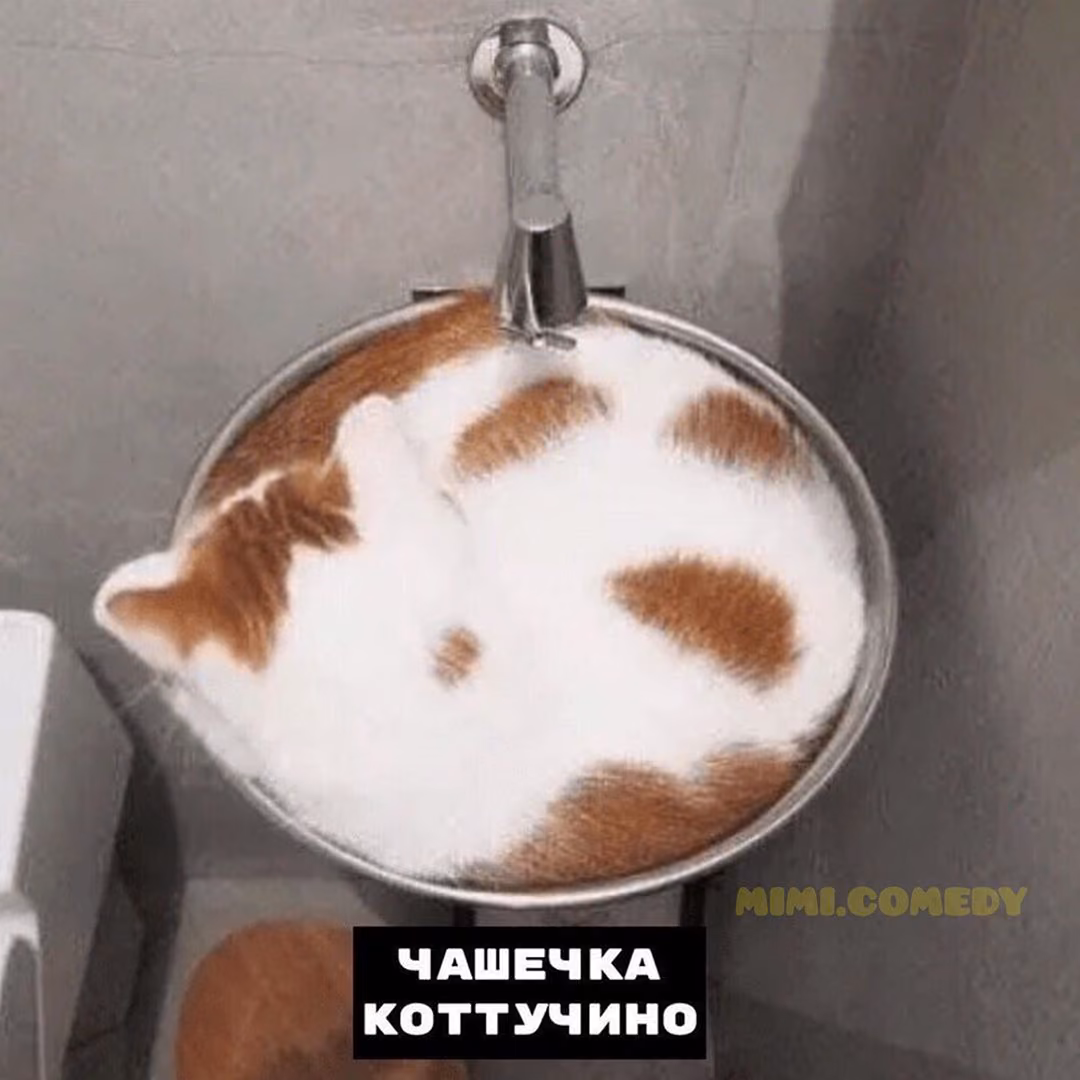 2c6003e2b6751729f8f2cc78f03c4b0d.jpg