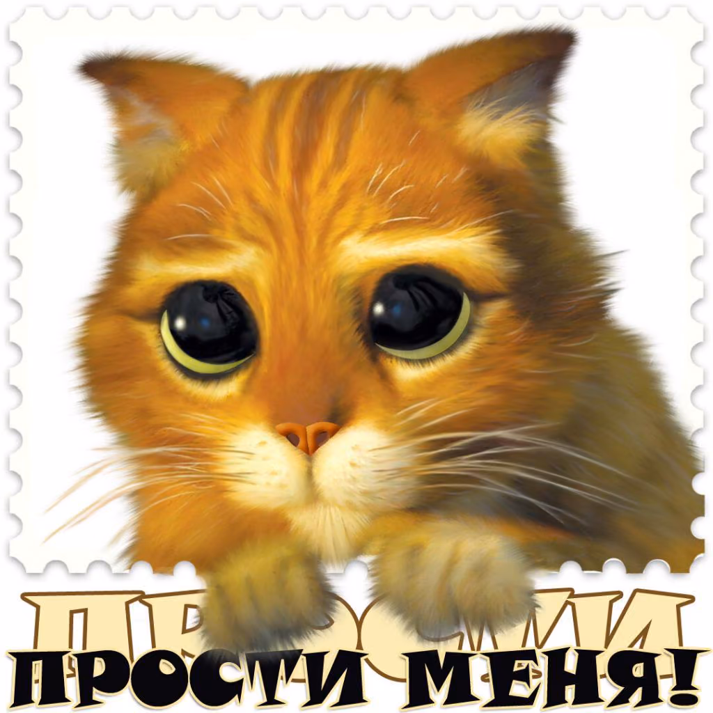 2c8ca3109a7aaa327a39f290c2e2513e.jpg