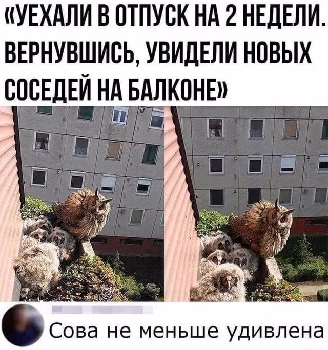 2c9ed954e080ba073268ec3dba6aaa85.avif