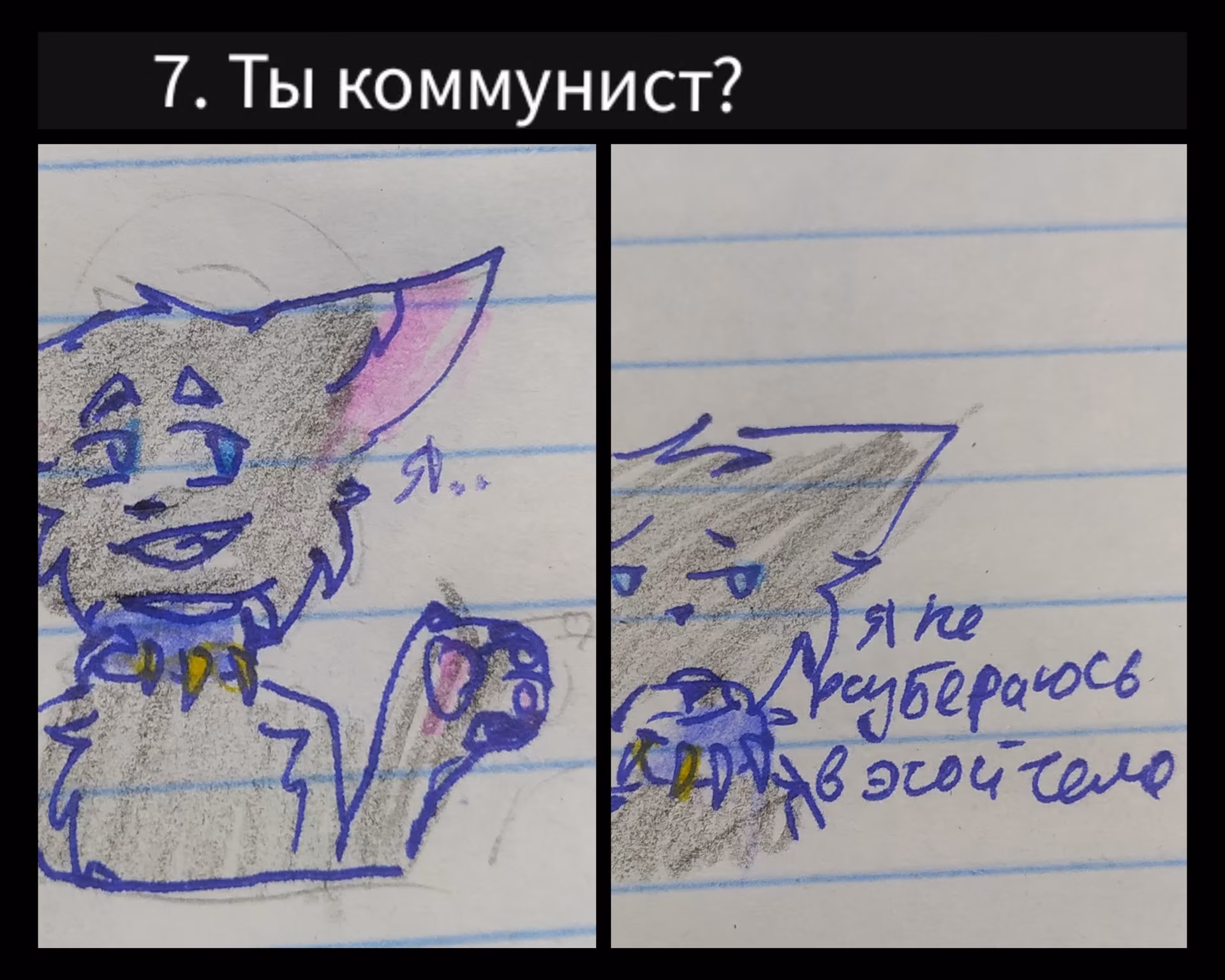 2cada231b6695b74e5d2539987414b3c.avif