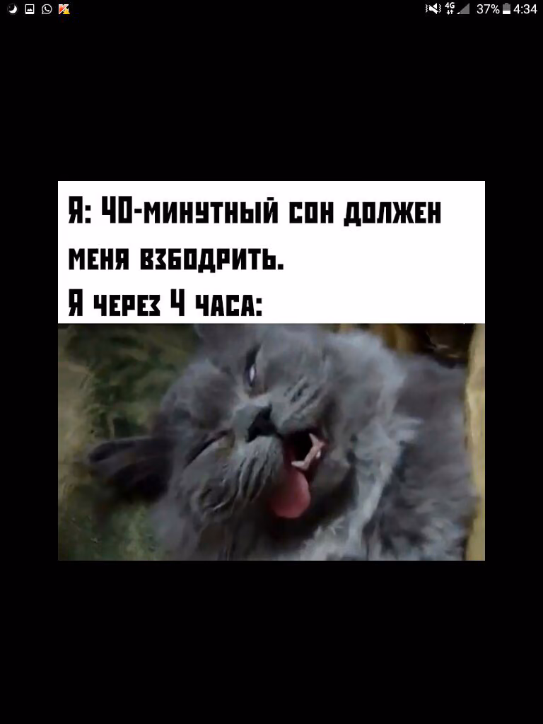 2cc38053624c3bb0ae6d01cf5f695d22.jpg