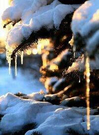 2cc6f4a8466315e3a155243088c22f3a.avif