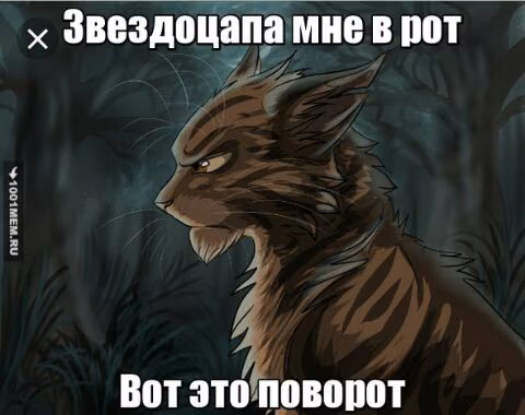 2cd3c1ba91c4ccb30576801abb700ac1.avif
