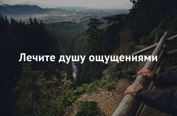 2cef2ae964793ff2067c39176fefa2f2.avif