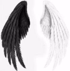 2cf004748b934ab15b8d1e2f293d6f79.avif