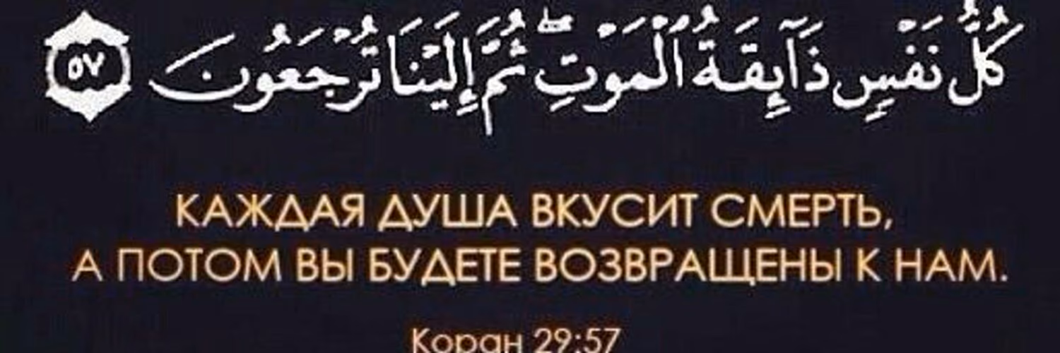 2cf30a63bd291700d3bd6182eee733b5.jpg