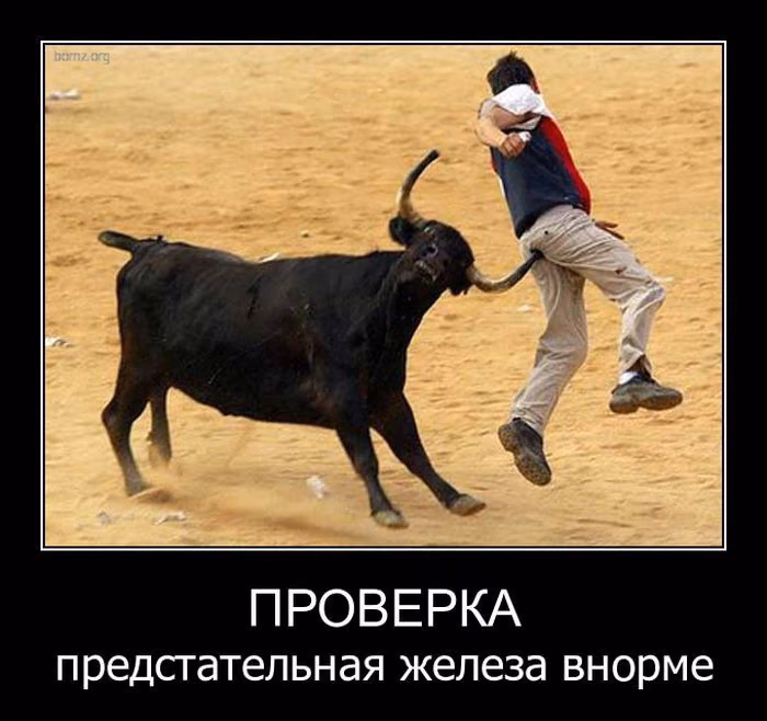 2d1ed182c540f6c0bdf0a9ff5762cafd.avif
