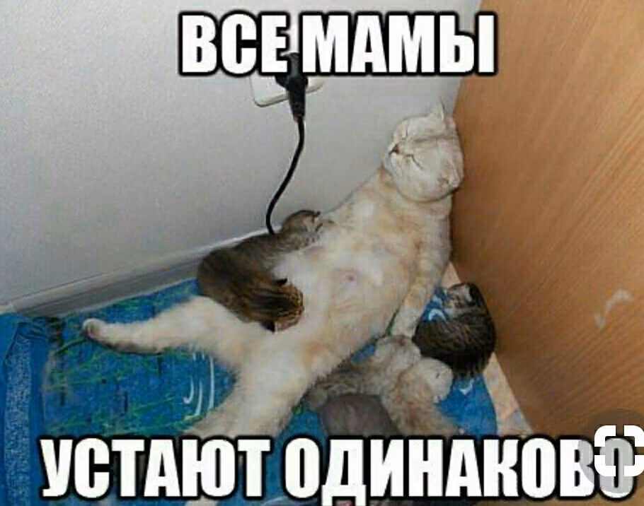 2d3ae66d3309fc70bbefff7d1d7778cc.jpg